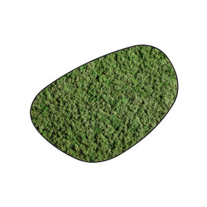 Moosdots Cuatro Moosbild Dimidium