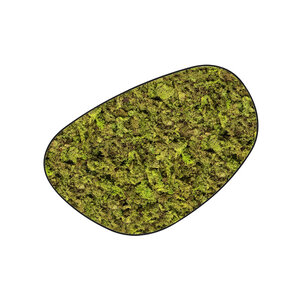 Moosdots Cuatro Moosbild ECO Apricis