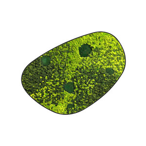 Moosdots Cuatro Moosbild Varius