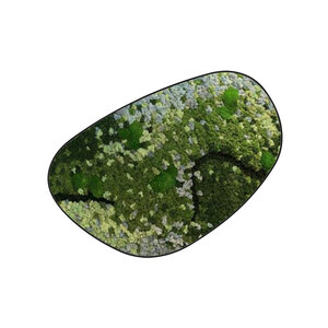 Moosdots Cuatro Moosbild Caeruleum