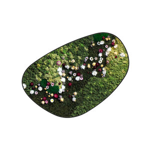 Moosdots Cuatro Moosbild Flora im Blumen-Stil