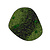 Moswens Moosdots Cinco Moosbild Nova