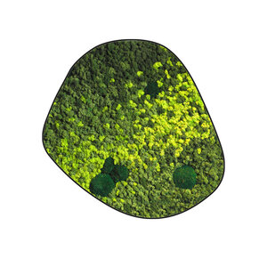 Moosdots Cinco Moosbild Varius