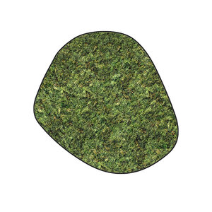 Moosdots Cinco Moosbild ECO Dimidium
