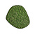 Moswens Moosdots Cinco Moosbild Dimidium