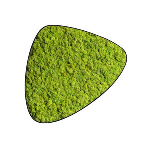 Moosdot tres Moosbild Apricis