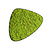 Moswens Moosdot tres Moosbild Apricis