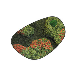 Moosdots Cuatro Moosbild Terra