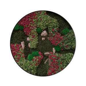 Rundes Moosbild Ruby