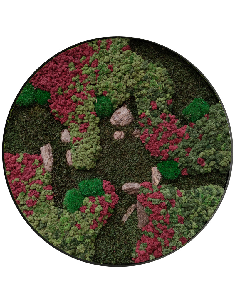 Moswens Rundes Moosbild Ruby