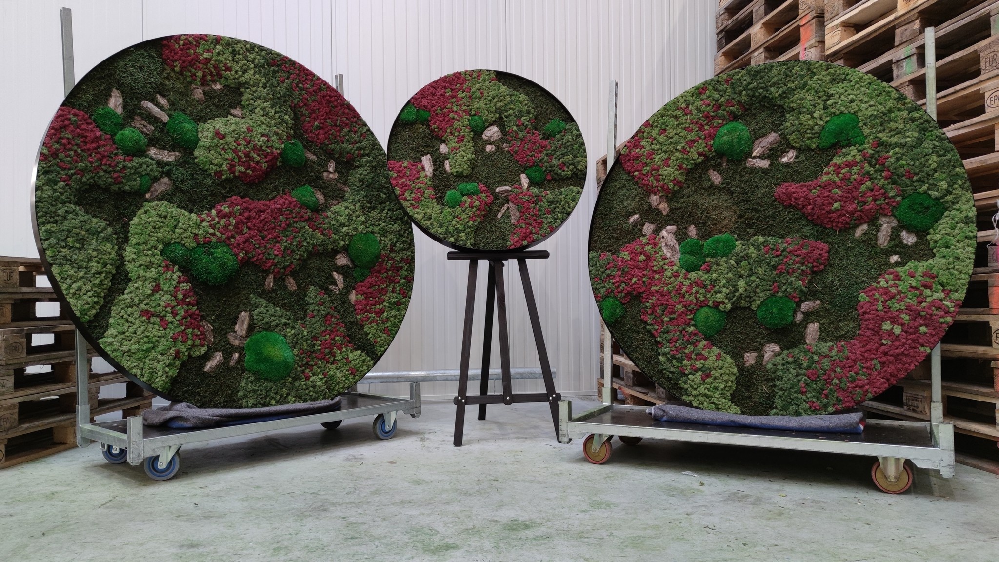 Moswens Rundes Moosbild Ruby