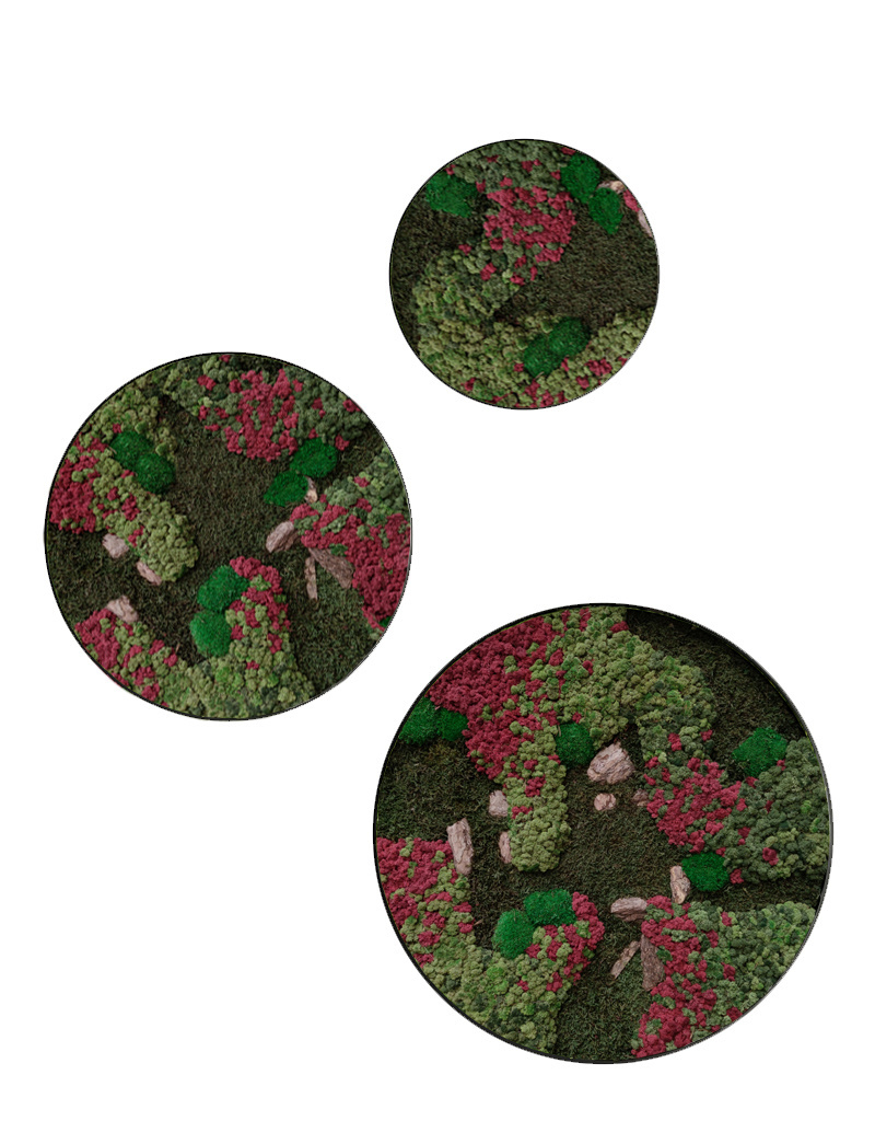 Moswens Rundes Moosbild Ruby