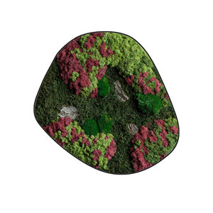 Moosdots Cinco Moosbild Ruby