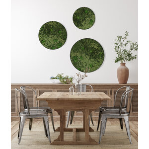 Rundes moosbild Set Avina