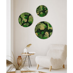 Rundes moosbild Set Ziva
