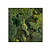 Moswens Quadratisches Moosbild Life