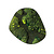 Moswens Moosdots Cinco Moosbild Oletta