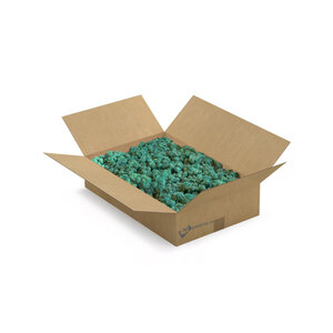 Rentiermoos Box L Ocean 0,20 m²