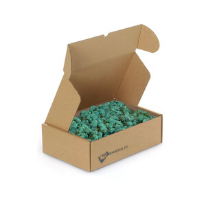 Rentiermoos Box M Ocean 0,10 m²