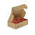 Rentiermoos Box M Currant 0,10 m²