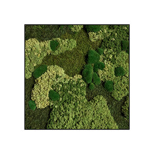 Quadratisches Moosbild Freya