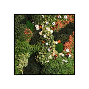 Quadratisches Moosbild Avalon im Blumen-Stil