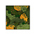 Moswens Quadratisches Moosbild Gobi