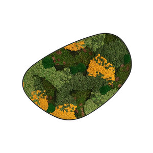 Moosdots Cuatro Moosbild Gobi