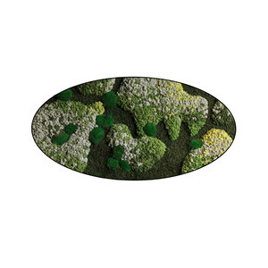 Ovales Moosbild Saar