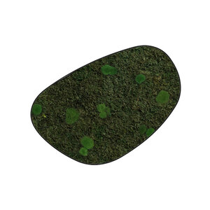 Moosdots Cuatro Moosbild Floki