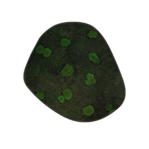 Moosdots Cinco Moosbild Floki