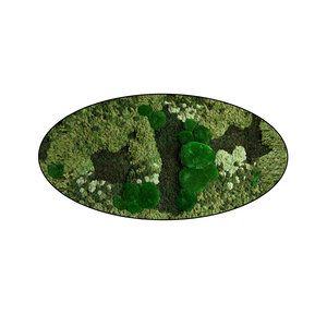 Ovales Moosbild Menthas