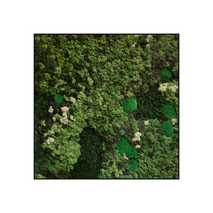 Quadratisches Moosbild Taurus