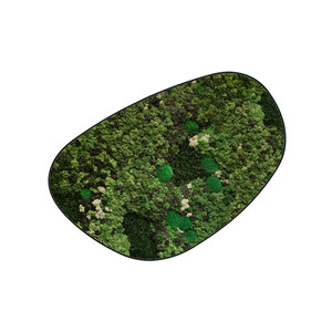 Moosdots Cuatro Moosbild Taurus