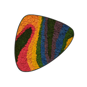 Moosdot tres Moosbild Rainbow