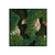 Moswens Quadratisches Moosbild Milly