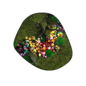 Moosdots Cinco Moosbild Liva im Blumen-Stil