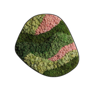 Moosdots Cinco Moosbild Pixi