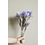 Trockenblumen Flieder