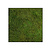 Moswens Quadratisches Moosbild Plana Lucem