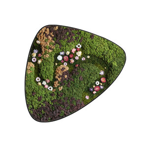 Moosdot tres Moosbild Jania im Blumen-Stil