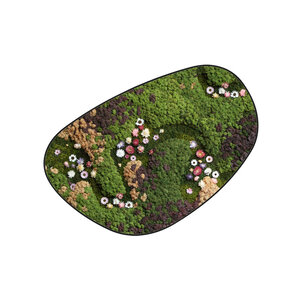 Moosdots Cuatro Moosbild Jania im Blumen-Stil