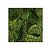 Moswens Quadratisches Moosbild Evey