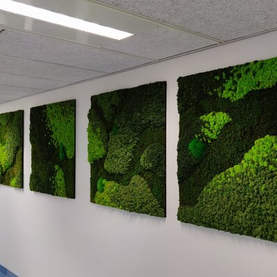 Wusstest du, dass wir echtes Moos verwenden, das wartungsfrei ist? Lies hier mehr.