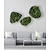 Moswens Moosdots-Set Moosbild Jane im Dschungel-Stil