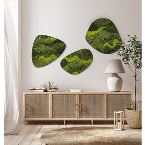 Moosdots-Set Moosbild Walcum