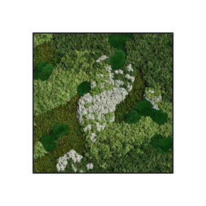 Quadratisches Moosbild Juna