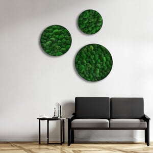 Rundes Moosbild set 100% Bulbs