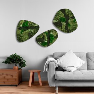 Moosdots-Set Moosbild Menthas