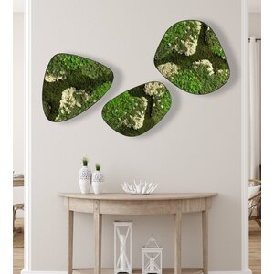 Moosdots-Set Moosbild Lovina